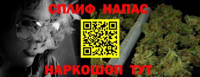 ECSTASY Гатчина
