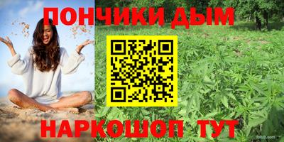 ECSTASY Гатчина
