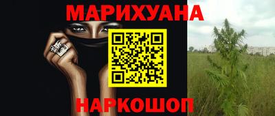 кокс Гай
