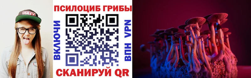 закладки  Майкоп  Псилоцибиновые грибы Psilocybine cubensis 